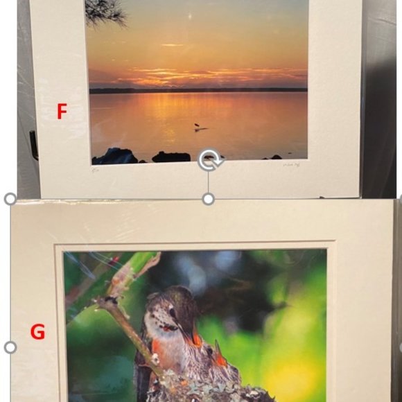 PROFESSIONAL PHOTOGRAPHS - ARTIST ILSOO (NEW) - Picture 4 of 13